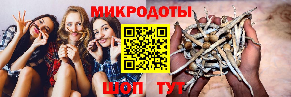 Галлюциногенные грибы ЛСД Россия
