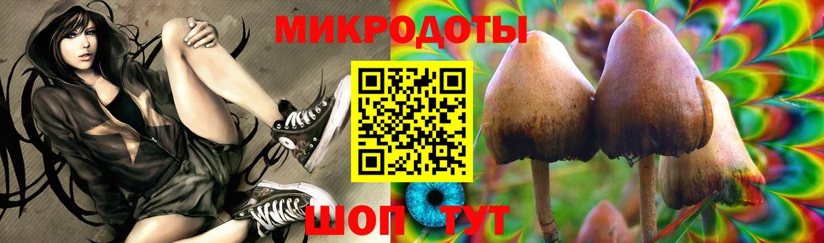 Галлюциногенные грибы GOLDEN TEACHER  Галлюциногенные грибы Magic Shrooms  Россия  Вход с VPN 